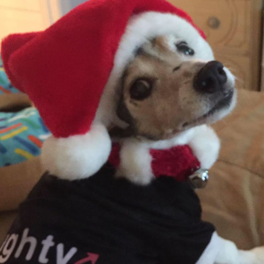 Meet your Posher, Dori